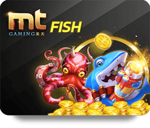 H19 Live Dealer Hot: Live Experience Versus Online Slots